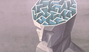 Head with a maze in it illustrating human difficulty in analyzing comments